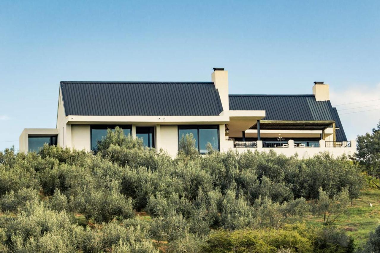 Villa Oudewerfskloof Olive Farm Stilbaai Exterior foto
