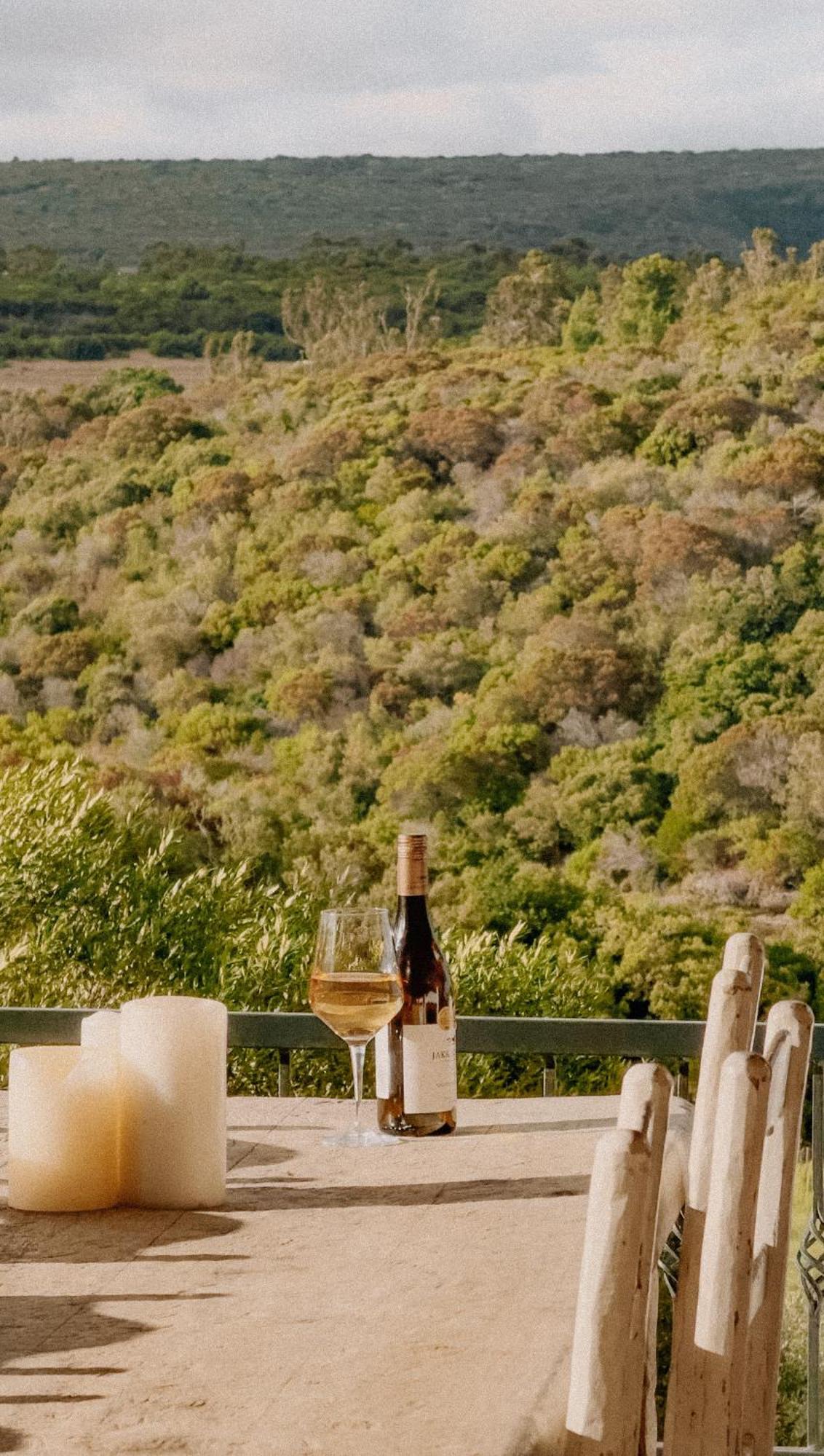 Villa Oudewerfskloof Olive Farm Stilbaai Exterior foto